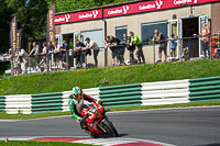 cadwell-no-limits-trackday;cadwell-park;cadwell-park-photographs;cadwell-trackday-photographs;enduro-digital-images;event-digital-images;eventdigitalimages;no-limits-trackdays;peter-wileman-photography;racing-digital-images;trackday-digital-images;trackday-photos